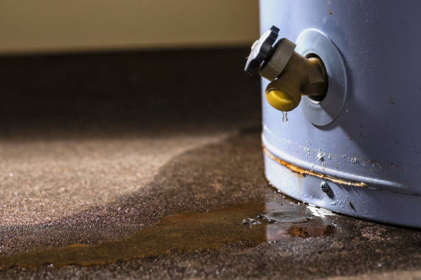 Best Carpet water damage restoration  in Post, TX