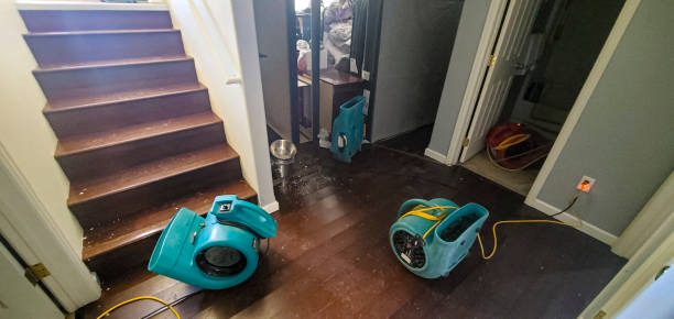 Best Water damage contractors near me  in Post, TX