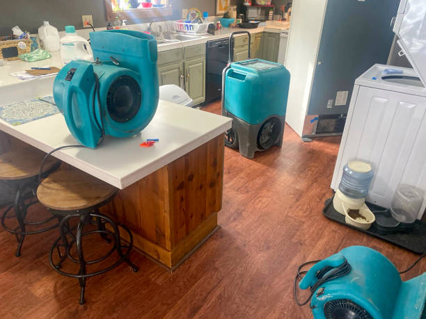 Best Sewage cleanup and water damage restoration  in Post, TX