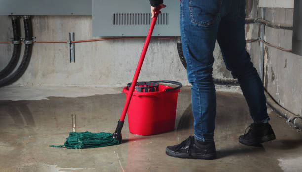 Best Flood restoration services  in Post, TX