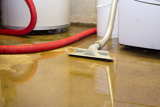 Best Professional water damage repair  in Post, TX